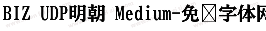 BIZ UDP明朝 Medium字体转换